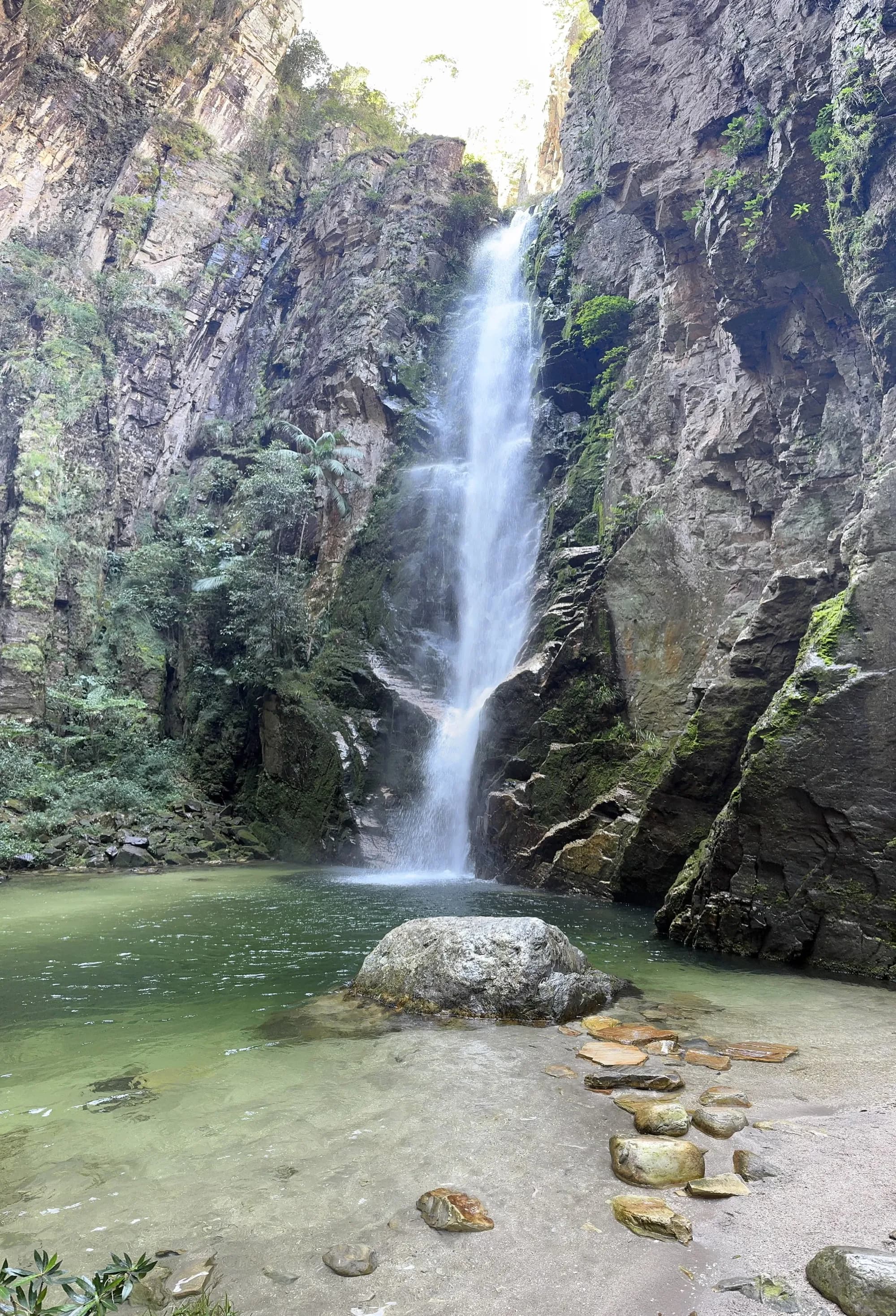 Paraíso Selvagem