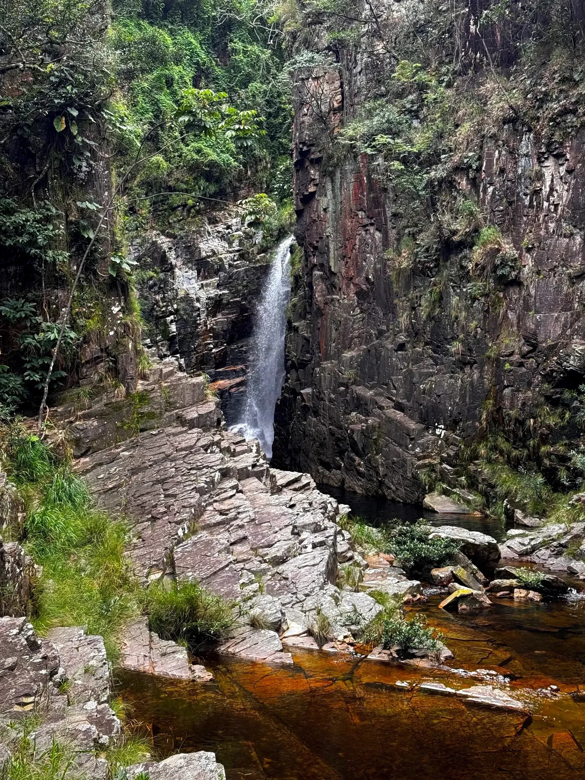 Cachoeira do Tamanduá