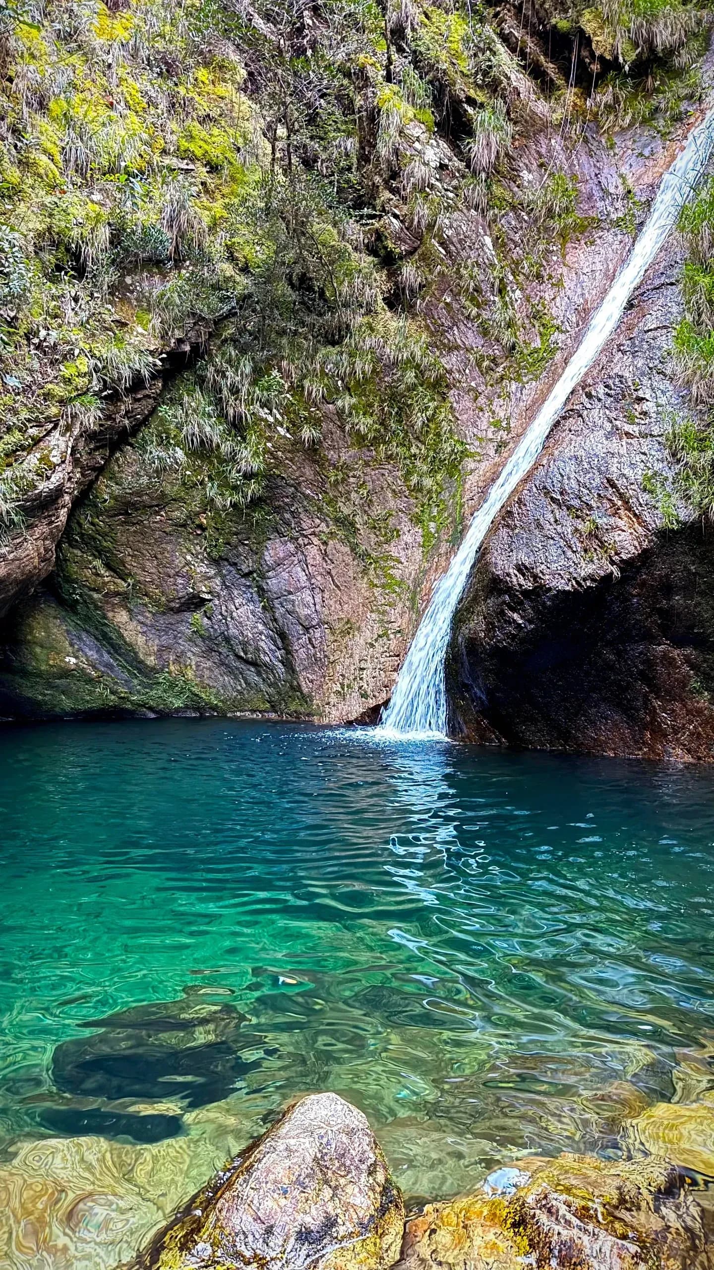 Ponto dos Palmitos