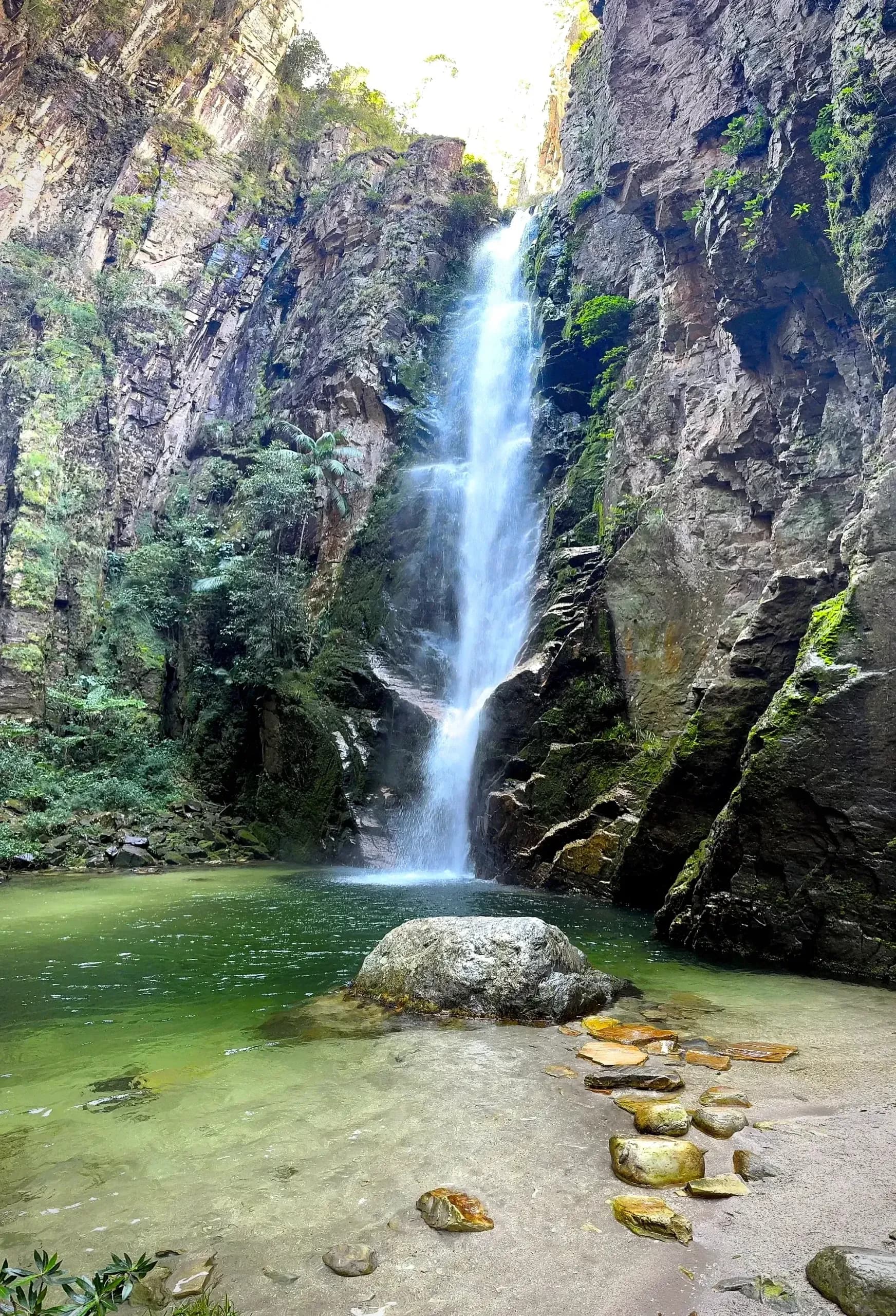 Paraíso Selvagem